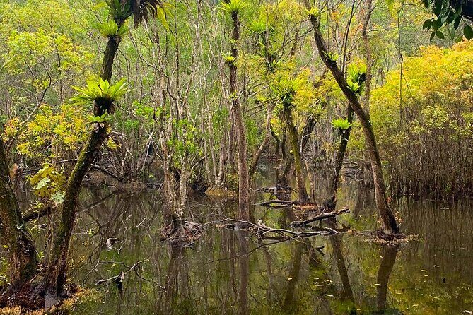 Hike, Bike, and Kayak Through the Heart of Cat Ba National Park - The Experience: What You’ll Love