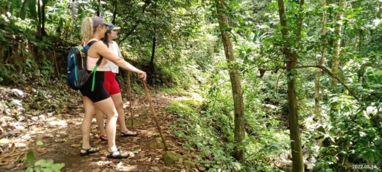 Hiking Adventure Through Grand E'tang RainForest - Discovering Grenada’s Natural Charms