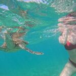 Hikkaduwa Unforgettable Snorkeling Experience - The Experience in Detail