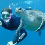Hikkaduwa Unforgettable Snorkeling Experience - Final Thoughts