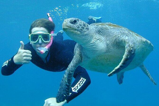 Hikkaduwa Unforgettable Snorkeling Experience - Final Thoughts