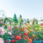 Hirakata Park Adventure Admission Ticket - Who Should Visit Hirakata Park?