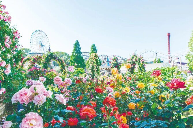 Hirakata Park Adventure Admission Ticket - Who Should Visit Hirakata Park?