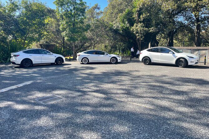 Hire Car and Limousine Service - Is This Service Right for You?