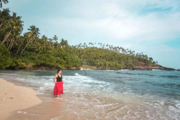 Hiriketiya: Mirissa Beach & Whale Watching Day Trip - Who Will Love This Tour?