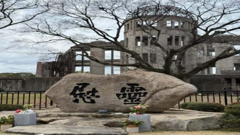 Hiroshima and Peace Park Private guided Tour - Practical Details and Value