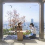 Hiroshima: Morning Hiking Tour with Open-air Tea Ceremony - Who Will Love This Tour?