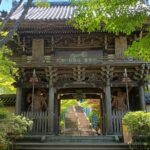 Hiroshima Peace Memorial and Miyajima 8 Hour Tour with Local - The Sum Up: Who Will Love This Tour?