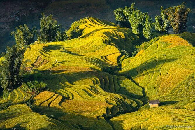 Hoang Su Phi Loop 4 Day Motorbike and Hiking Tour - Who Is This Tour Best For?