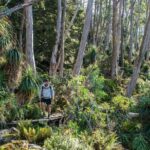Hobart Adventurer Day Tour | Amazing Views & Native Wildlife - Practical Details and What to Expect