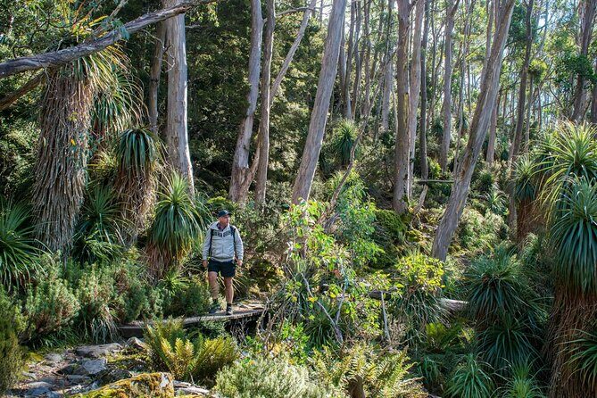 Hobart Adventurer Day Tour | Amazing Views & Native Wildlife - Practical Details and What to Expect