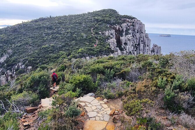 Hobart: Cape Hauy Adventure Hike - rugged cliffs & wild beauty - The Return and Wine Tasting at Bangor Vineyard