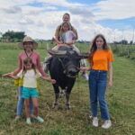 Hoi An Countryside Tour by Car/Motorbike or cycling - Authenticity and Cultural Insights