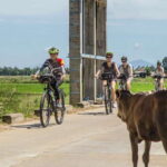 Hoi An: Morning Countryside Tour by Bike - An In-Depth Look at the Hoi An Countryside Bike Tour