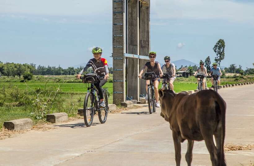 Hoi An: Morning Countryside Tour by Bike - An In-Depth Look at the Hoi An Countryside Bike Tour