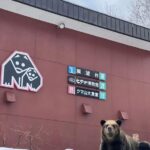 Hokkaido 10-hour chartered day trip Noboribetsu - Itinerary Breakdown: What to Expect on Your Day