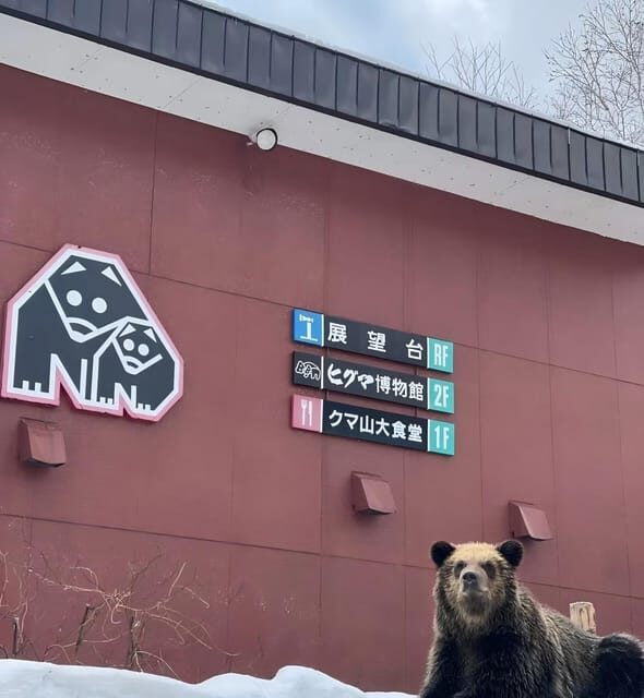 Hokkaido 10-hour chartered day trip Noboribetsu - Itinerary Breakdown: What to Expect on Your Day