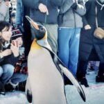 Hokkaido, Asahikawa Zoo Classic Day Tour With Optional Snomobile - The Practicalities: What You Need to Know