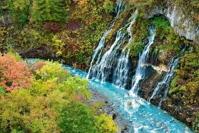 Hokkaido Day Trip From Sapporo, Asahiyama Zoo to Ningle Terrace - What to Expect from the Itinerary