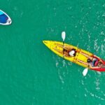 Hole in the Rock Dolphin Cruise Tour Round Trip from Auckland - What to Expect on the Itinerary