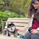 Home Cooking with a Local Host (Optional Shiba Inu Picnic) - An In-Depth Look at the Tour Experience