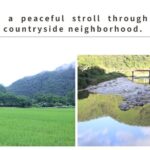 Home Experience: Tea Ceremony & Moss Garden Walk(Day trip) - The Experience: A Deep Dive into Rural Hiroshima