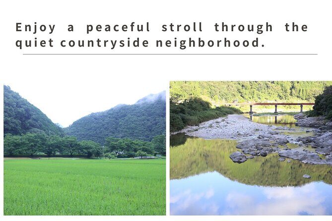 Home Experience: Tea Ceremony & Moss Garden Walk(Day trip) - Why This Experience Offers Real Value