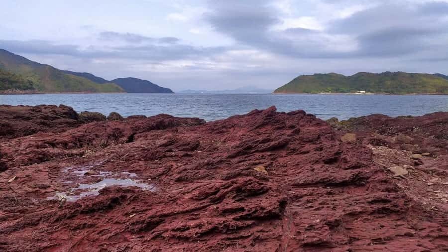 Hong Kong: Geopark Flaming Red Coast Hopping Tour - Practical Details and What to Expect