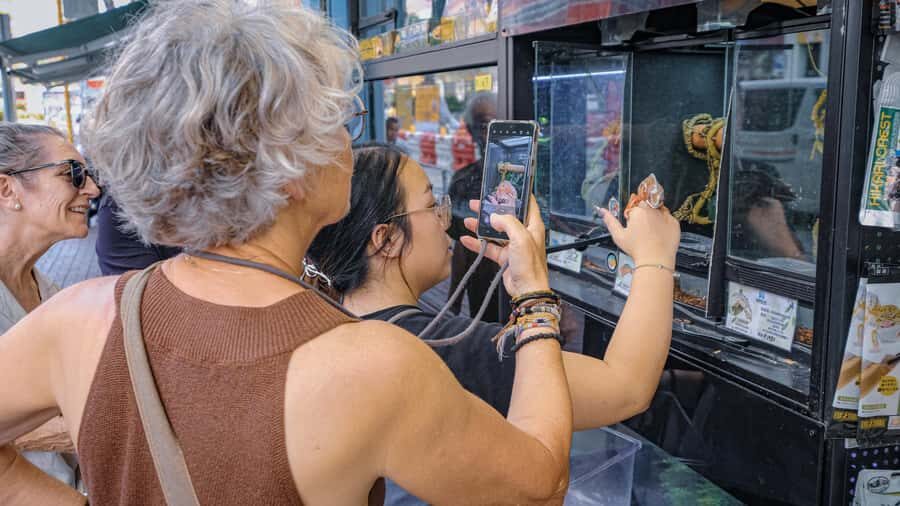 Hong Kong: Kowloon Local Markets & Food Culture Walking Tour - The Guides: Making the Difference