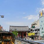 Hop-On Hop-Off Tokyo Bus by Skyhop Bus - Who Is This Tour Best For?