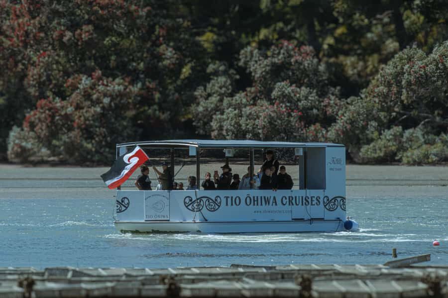 hope: Guided Cruise with Oyster Farm Visit and Lunch - Who Should Consider This Tour