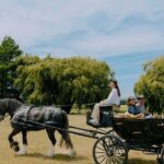 Horse and Carriage Wine Tour in Marlborough with Lunch - Deep Dive into the Itinerary