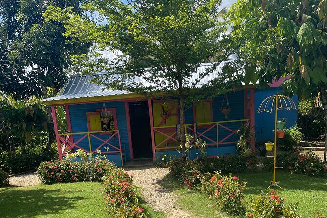 Horse Back Riding Adventure in Punta Cana - Why This Tour Offers Great Value