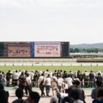 Horse Racing Tour with Local Fans in Tokyo Racecourse - Authentic Insights from Travelers
