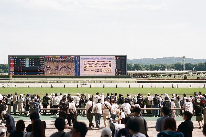 Horse Racing Tour with Local Fans in Tokyo Racecourse - Authentic Insights from Travelers