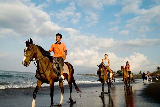 Horse Riding Experience on Black Sand Beach Bali - The Sum Up