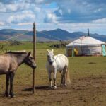 Horse Trekking Tour in Central Mongolia  Nomadic Adventure - Authentic Encounters and Cultural Highlights