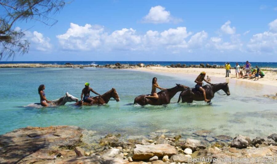 Horseback Ride and Swim Ocho Rios: Jam West Hanover - The Details of the Itinerary