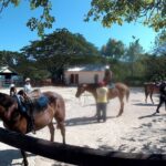 Horseback ride n Swim - Meeting the Horses and Choosing Your Trail