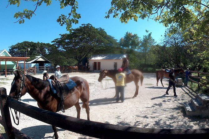 Horseback ride n Swim - Meeting the Horses and Choosing Your Trail  
