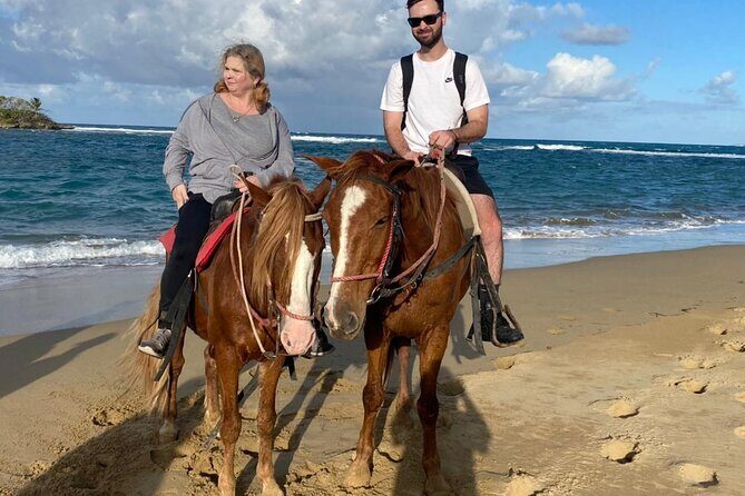 Horseback Ride Tour on the Beach in Puerto Plata - Who Will Love This Tour?