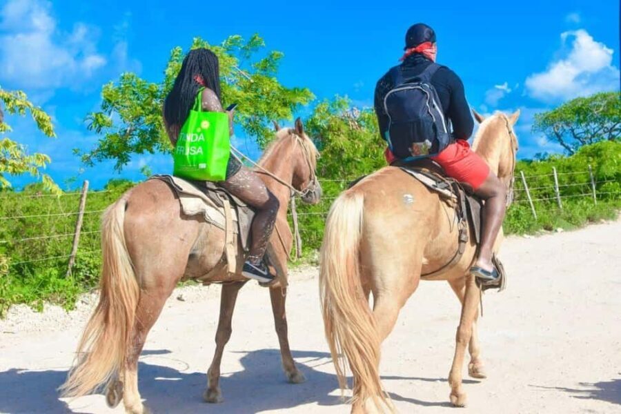 Horseback riding, coffee, chocolate tasting and Macao beach - Exploring the Itinerary in Detail