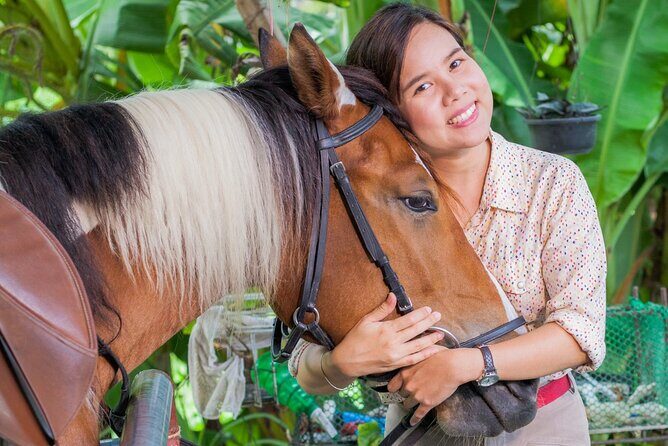 Horseback riding in Punta Cana - Who Should Book This Tour?