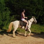 Horseback Riding Tour along the Beaches of Punta Cana - The Sum Up: Is It Worth It?