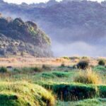 Horton Plains Park & Worlds End Guided Trekking From Nuwara Eliya - What to Expect from the Full-Day Trip