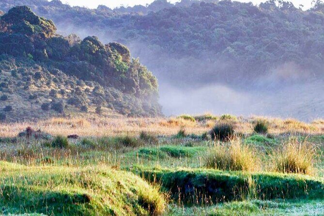 Horton Plains Park & Worlds End Guided Trekking From Nuwara Eliya - What to Expect from the Full-Day Trip