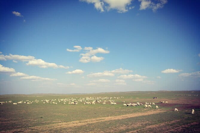 Huhhot Inner Mongolia 3 Days Xilamuren kubuqi Desert Nature Tour - Practicalities and Value