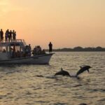 Hulhumale: Sunset Cruise with Snorkeling and Dolphins - The Itinerary in Detail