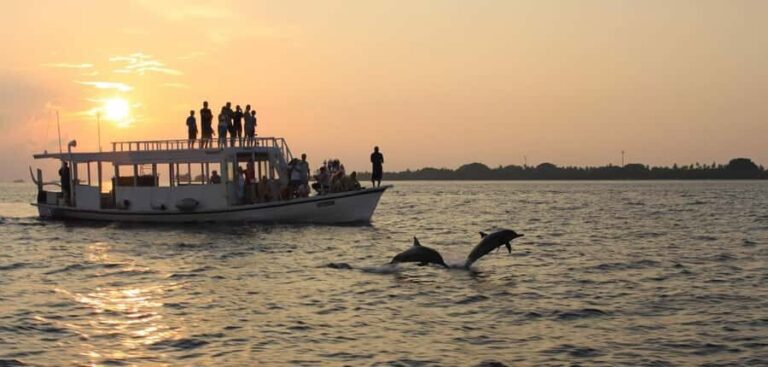 Hulhumale: Sunset Cruise with Snorkeling and Dolphins - The Itinerary in Detail