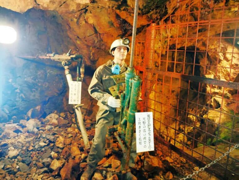 Hyogo: Ikuno Silver Mine Guided Historical Tour - Who Is This Tour For?